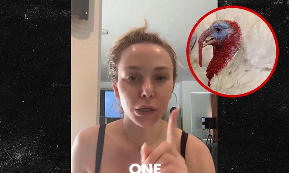 Courtney Stodden Says She Feels Like Turkey Who Didn't Get Pardoned