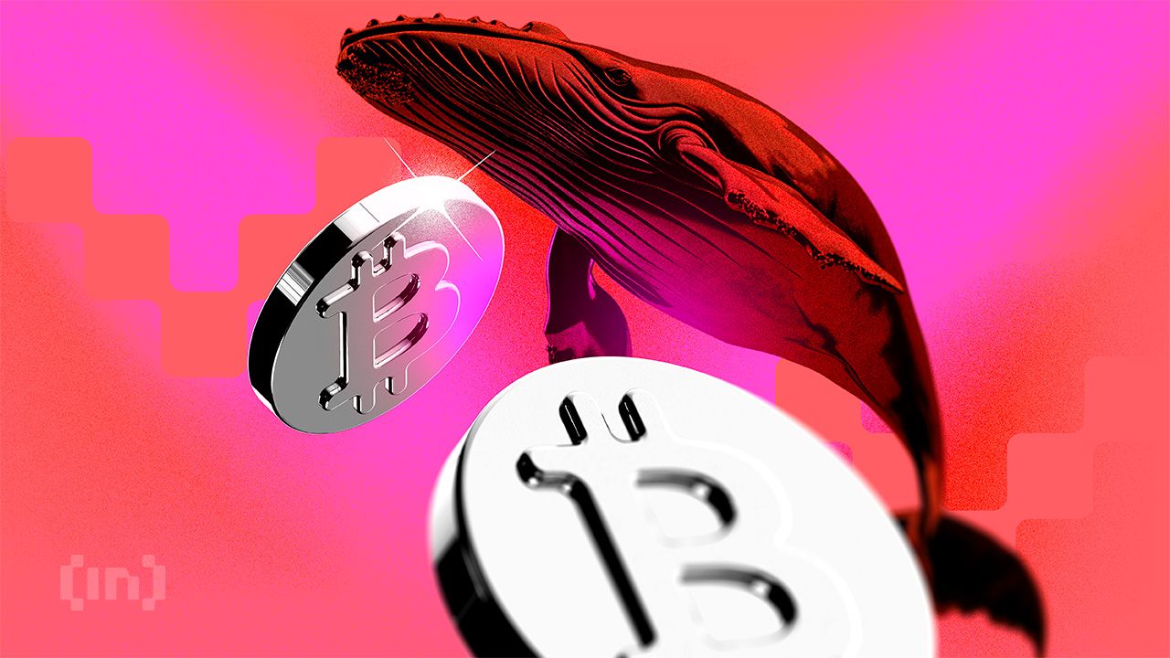 Crypto Market Hints at a Two-Year Post-Thanksgiving Pattern Returning