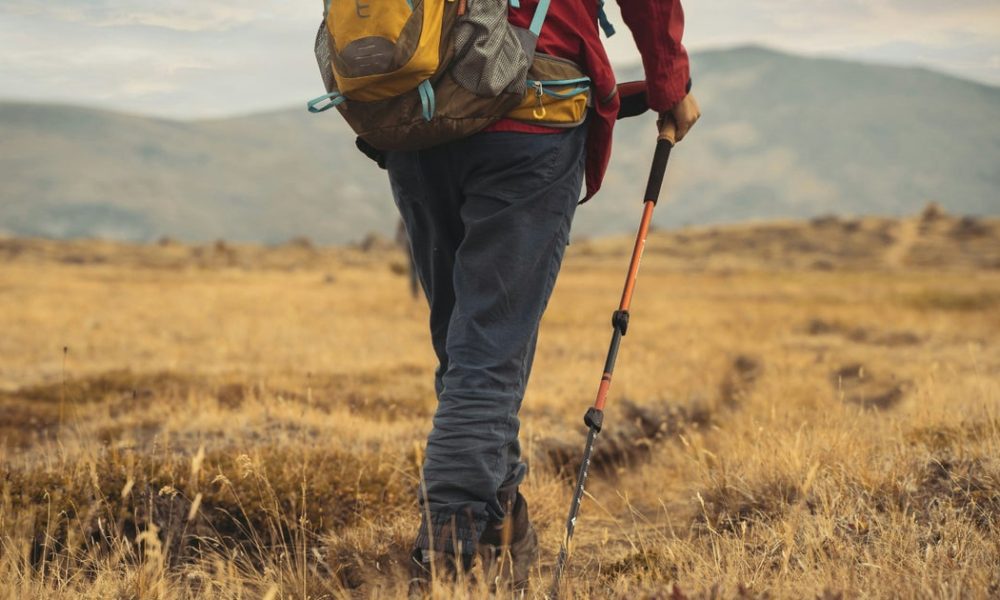 What Is Nordic Walking, And Is It Better Than 10,000 Steps?