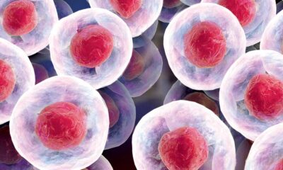 IPO Stock Taps Medicare Market, Soars Into Buy Range