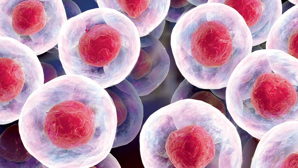 IPO Stock Taps Medicare Market, Soars Into Buy Range