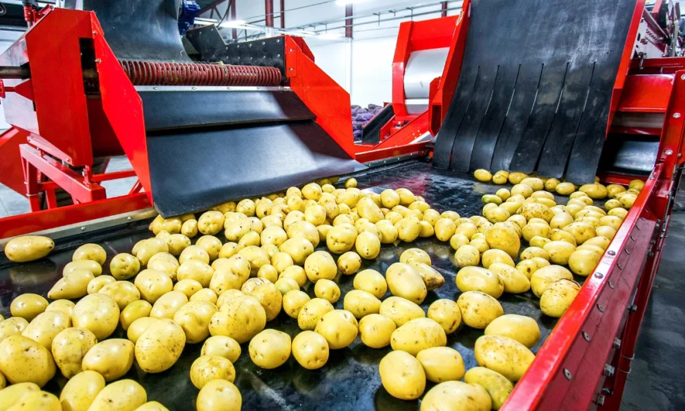 McCain Foods to acquire Penobscot McCrum