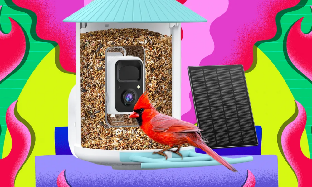 Amazon Is Having a Huge Black Friday Sale on Birdfy Smart Bird Feeders (2025)