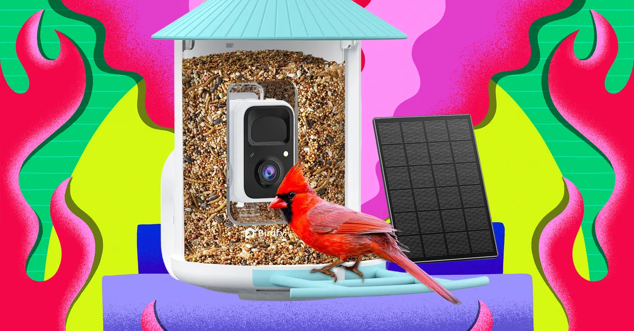 Amazon Is Having a Huge Black Friday Sale on Birdfy Smart Bird Feeders (2025)