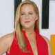 Amy Schumer Subtly References Her Pronouns