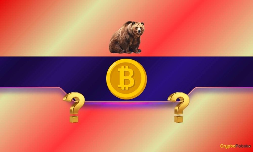 We Asked 2 AIs if Bitcoin's Bear Market Has Officially Started