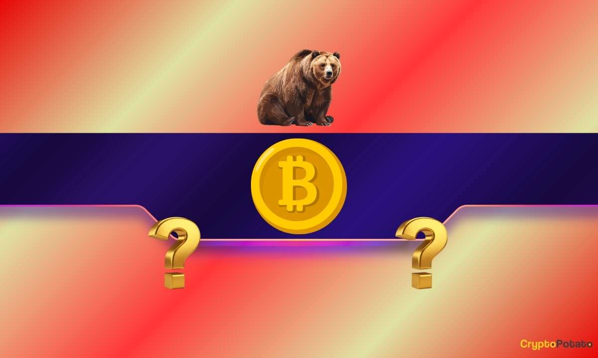 We Asked 2 AIs if Bitcoin's Bear Market Has Officially Started