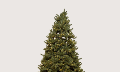 Balsam Hill's Black Friday Sale Is On. Save 40% on the Best Fake Christmas Tree