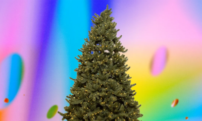 Best Black Friday Christmas Tree Deals (and Lights, Too) of 2025