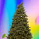 Best Black Friday Christmas Tree Deals (and Lights, Too) of 2025
