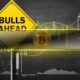 Analysts See Major Bull Run Ahead Despite Market Meltdown