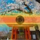 Japan Emerges as Potential Bitcoin Demand Giant After Rule Changes