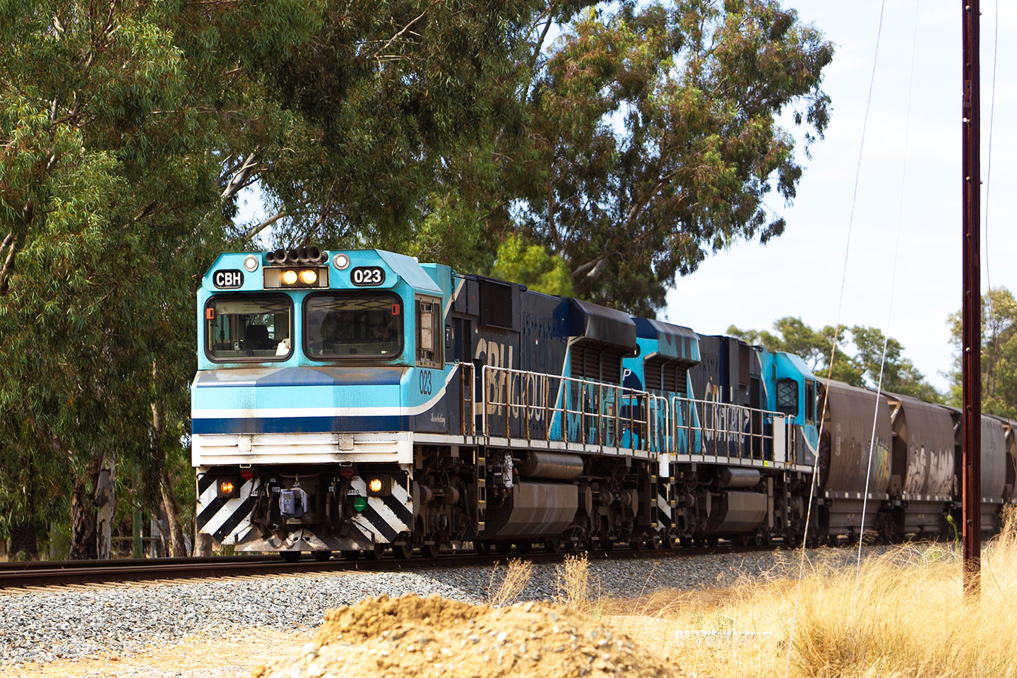 CBH adds more grain trains as record harvest comes in