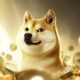 Dogecoin price