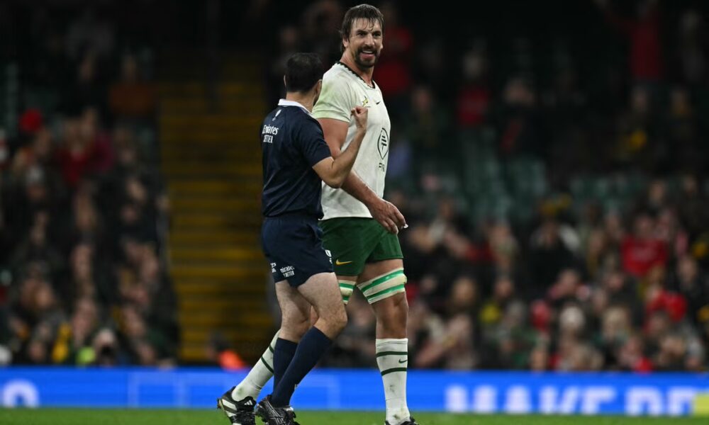 South Africa star sent off for eye gouging against Wales