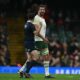 South Africa star sent off for eye gouging against Wales