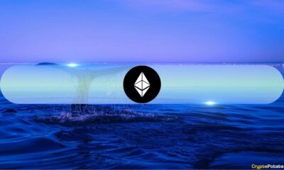 Ethereum's Biggest Whales Just Hit a Record High