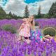 Lavender Field Photoshoot in Oregon -Creating Happy Memories