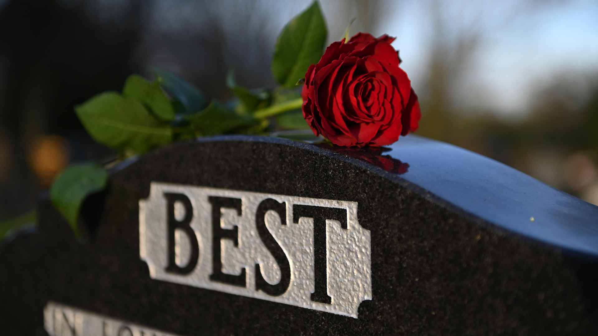 Best remembered in Belfast