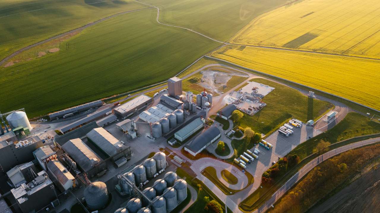 $10m seed raising for canola plant in Great Southern