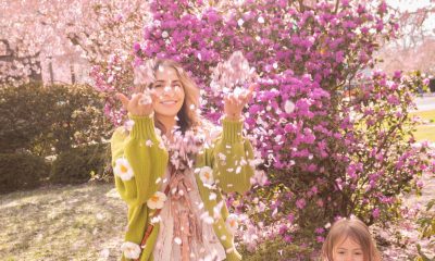 Cherry Blossom Season in Oregon