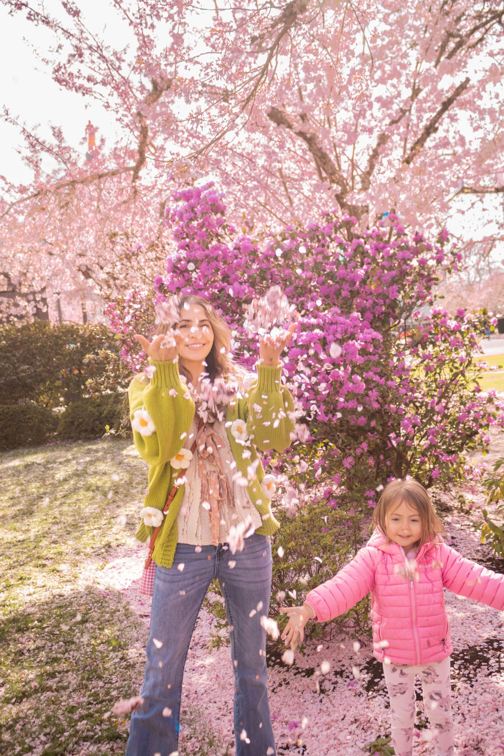 Cherry Blossom Season in Oregon