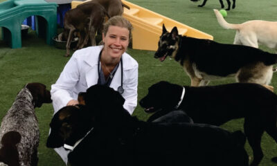 Jaime Pickett DVM Offers Guidance That Elevates Modern Pet Ownership