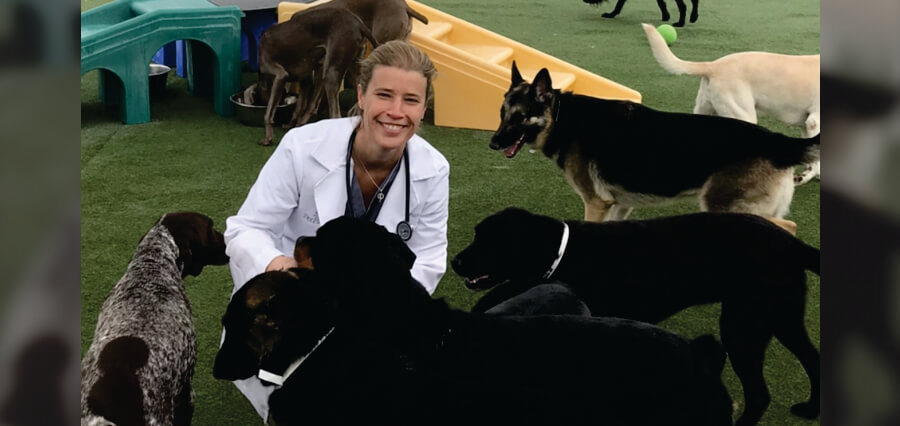 Jaime Pickett DVM Offers Guidance That Elevates Modern Pet Ownership