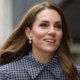 Kate Middleton Wows in Blue Houndstooth Dress for Charity Outing