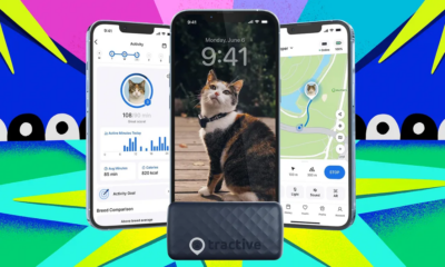 Tractive Smart Cat and Dog Trackers Are 40 Percent Off Right Now (2025)