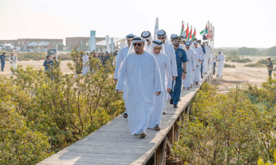 Mangrove Planting Initiative in Dubai