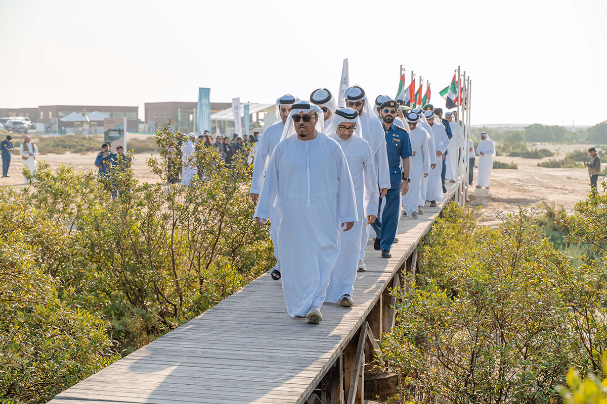 Mangrove Planting Initiative in Dubai
