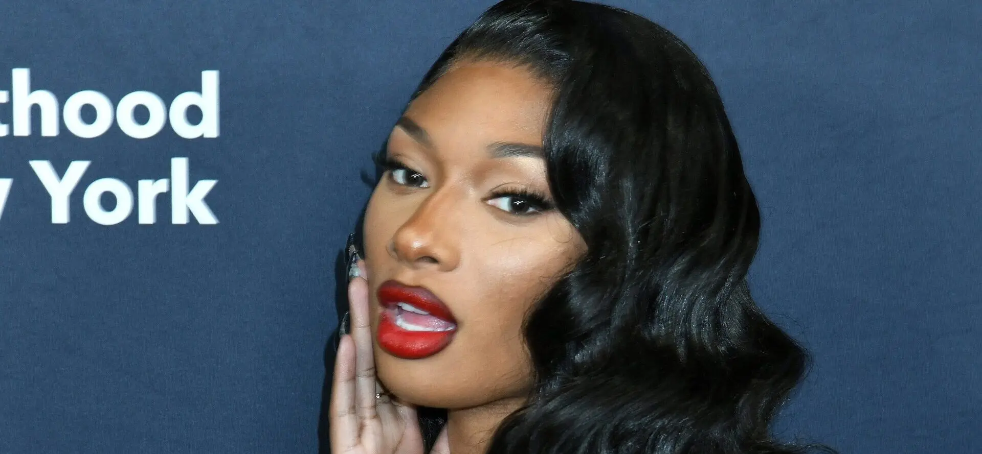 Megan Thee Stallion's Thanksgiving With Her Man's Family