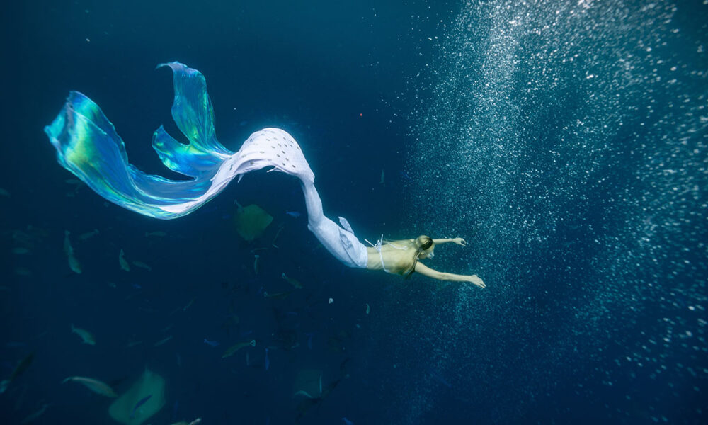 Atlantis Dubai mermaid divers
