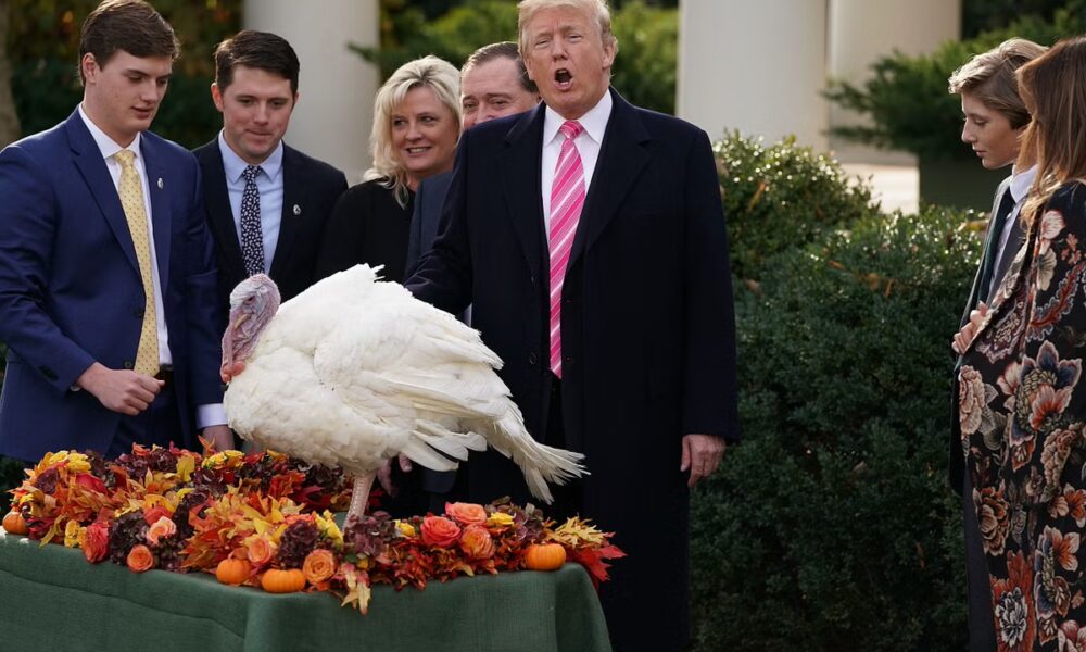 Trump to pardon two turkeys in annual Thanksgiving tradition that starts holiday season