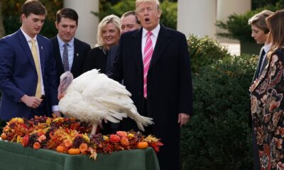 Trump to pardon two turkeys in annual Thanksgiving tradition that starts holiday season
