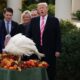 Trump to pardon two turkeys in annual Thanksgiving tradition that starts holiday season