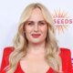 Rebel Wilson Unveils Dark Truth Surrounding Messy Legal Drama