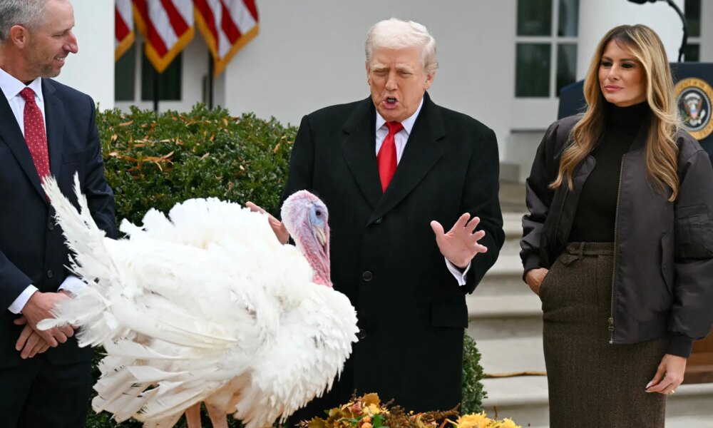 Trump declares Biden's turkey pardons 'totally INVALID' over autopen scandal