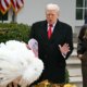 Trump declares Biden's turkey pardons 'totally INVALID' over autopen scandal