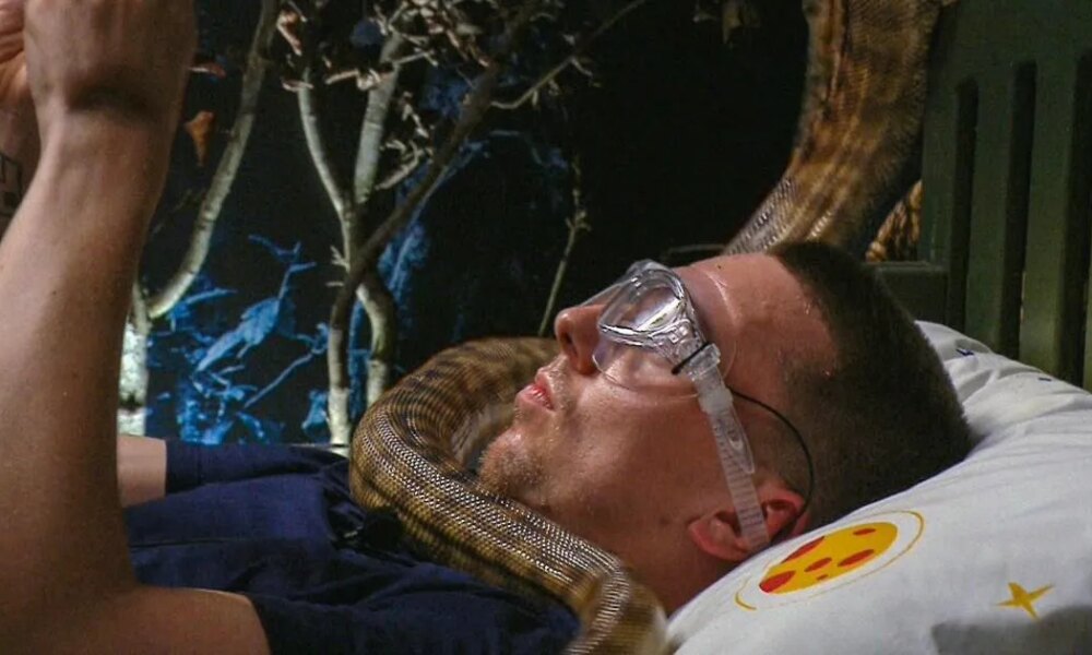 I'm A Celebrity fans in shock after 'most painful' Bushtucker Trial ever