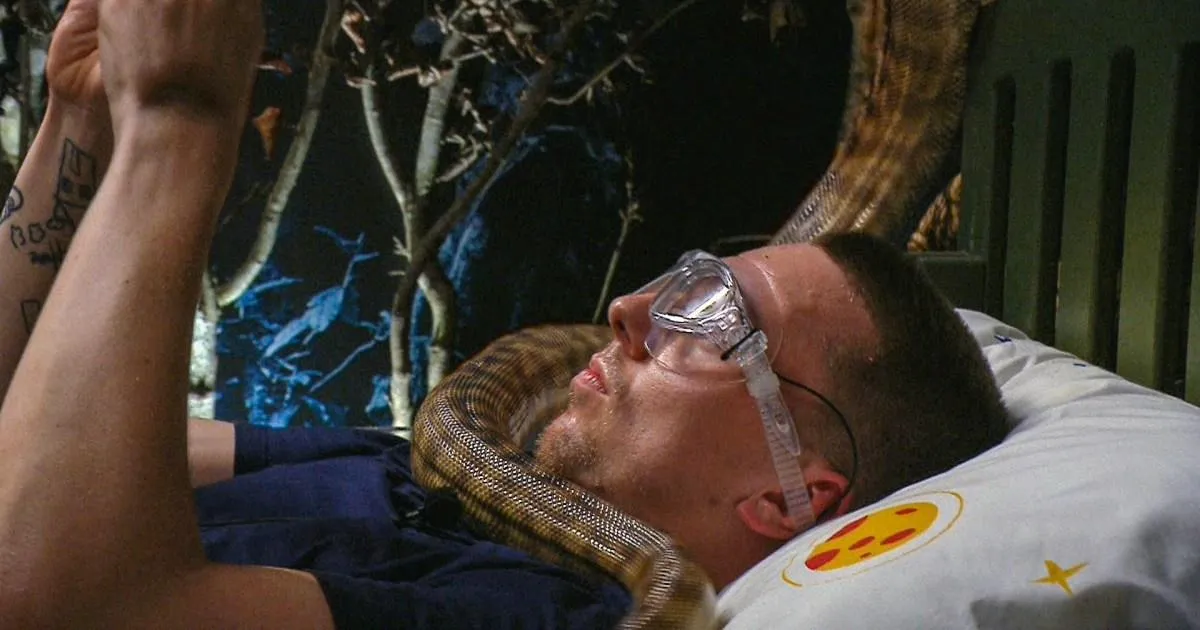 I'm A Celebrity fans in shock after 'most painful' Bushtucker Trial ever