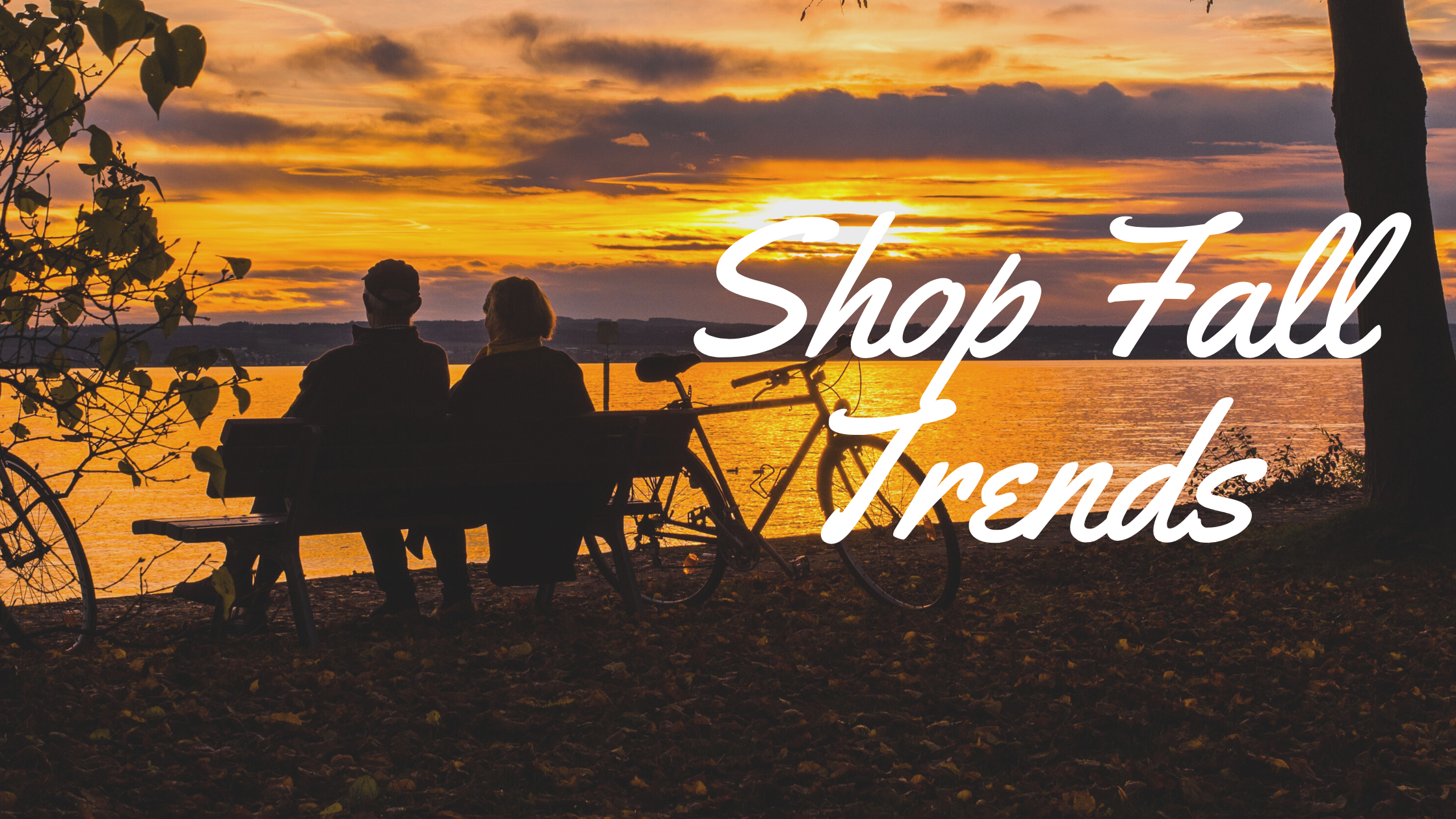 Shop Fall Trends