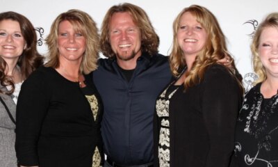 Why Kody Brown Wants To Apologize To Ex-Wives