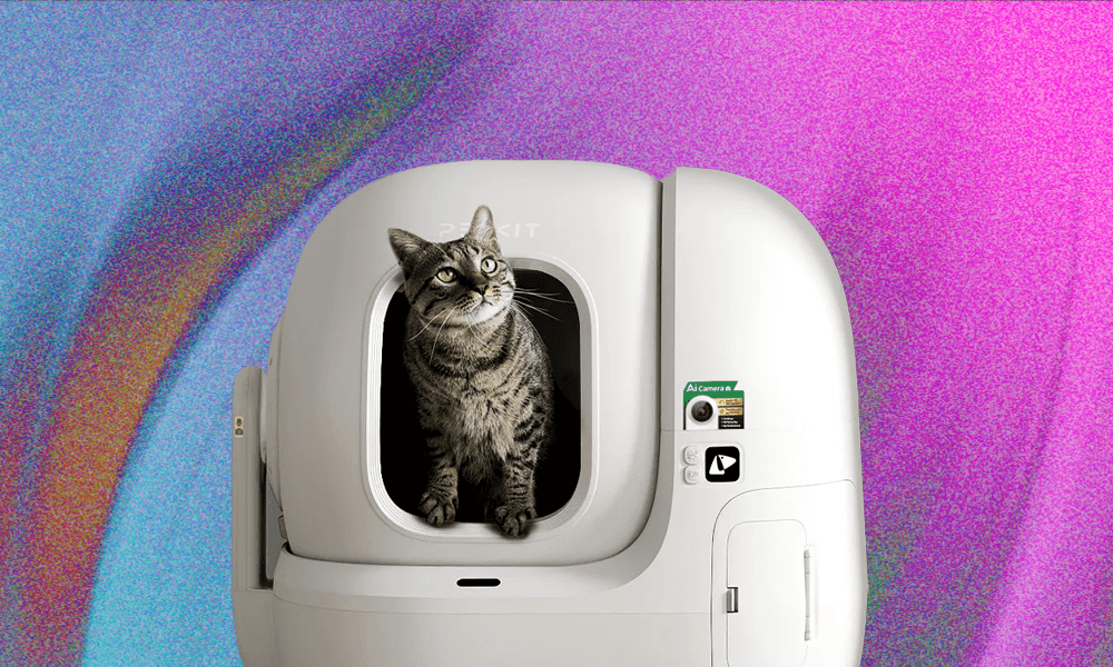 The 6 Best Automatic Litter Boxes (2025) Our Cats Would Recommend