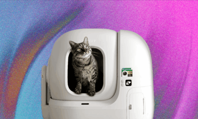 The 6 Best Automatic Litter Boxes (2025) Our Cats Would Recommend