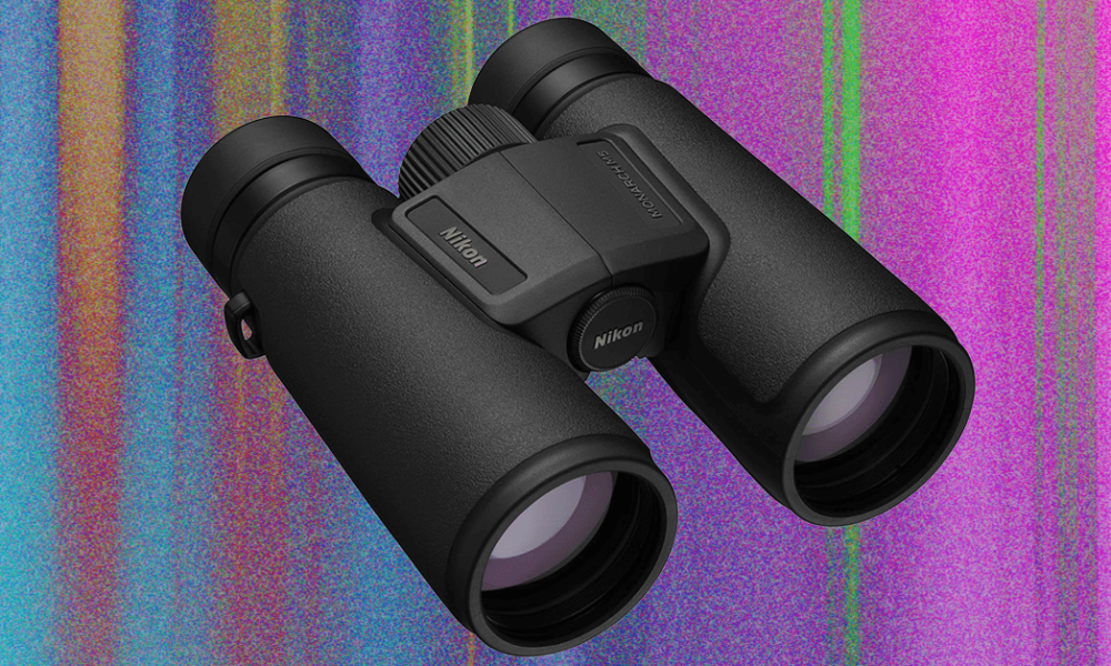 Best Binoculars (2025): Zeiss, Swarovski, Leica
