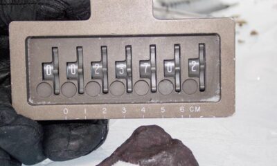 The meteorite used in this study - LAR12252