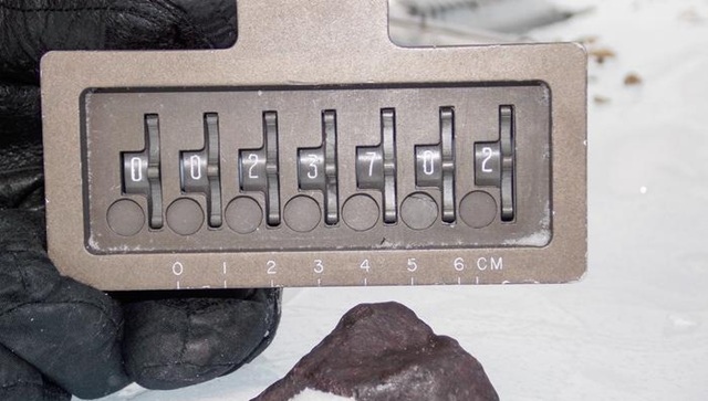 The meteorite used in this study - LAR12252