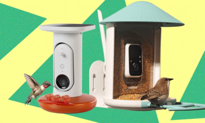Best Bird Feeders With Cameras, Tested and Reviewed (2025)